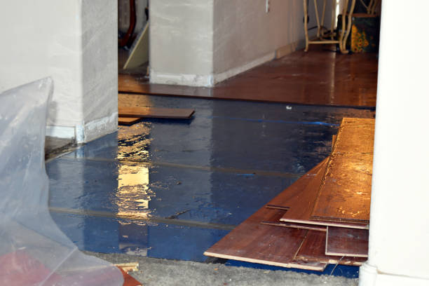 Professional Water Damage Restoration technician working in Hutto, TX